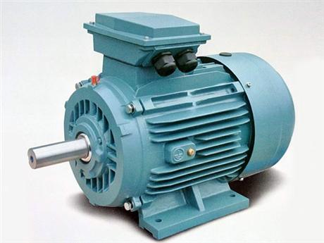 YE2高效三相異步電動(dòng)機(jī)